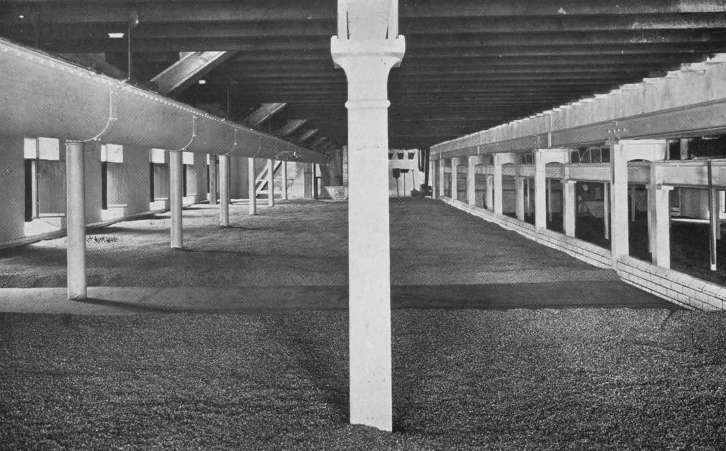 Hazelburn Distillery : Malt Floor, with Conveyors.