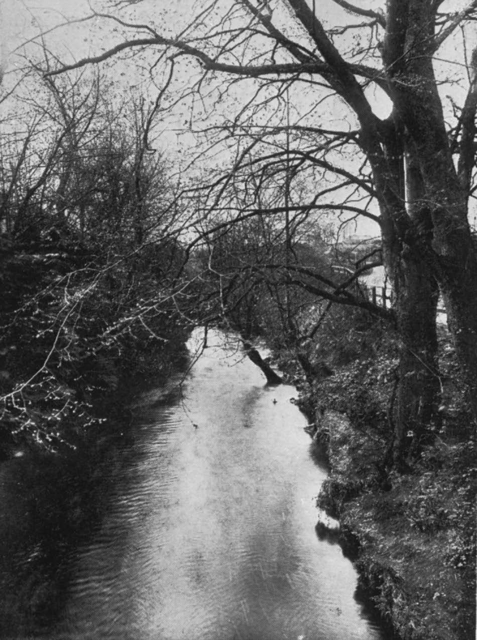 The River Isla, near Strathmill Distillery.